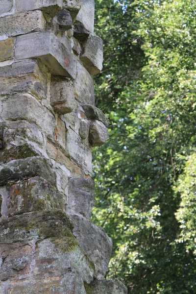 Pilíře klášter paulinzella — Stock fotografie
