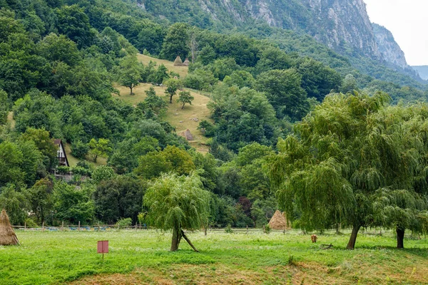 Landscape National Park Domogled Valea Cernei Romania — Stock Photo, Image