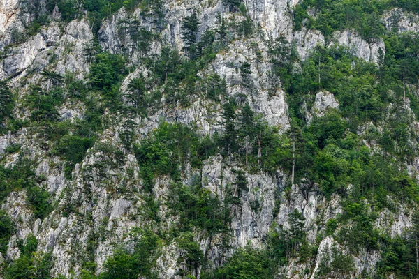 Tájkép Nemzeti Park Domogled Valea Cernei Romániában — Stock Fotó