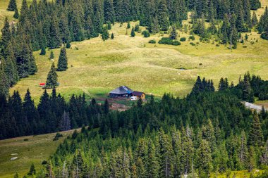 Karpat Dağları'nın peyzaj