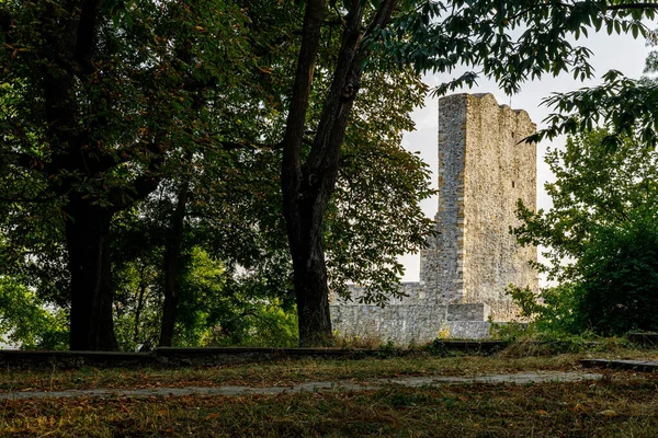 Histórico Castillo Drobeta Turnu Severin Rumania —  Fotos de Stock