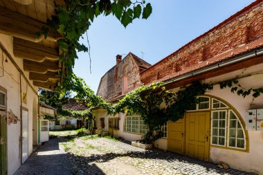 Romanya 'nın Sibiu şehrinde bir arka bahçe, 07 Ağustos 201