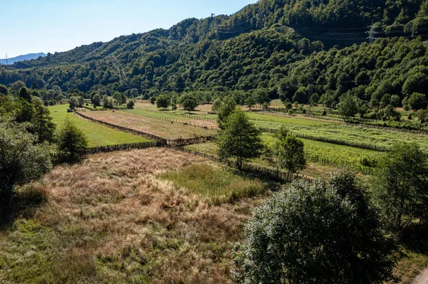 Karpat Dağları Nın Peyzaj — Stok fotoğraf