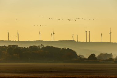 Rüzgar Enerjisi ve Göç Kuşları Gün batımında