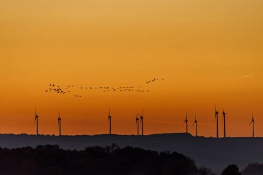Rüzgar Enerjisi ve Göç Kuşları Gün batımında