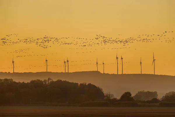 Windenergie Und Zugvögel Bei Sonnenuntergang — Stockfoto