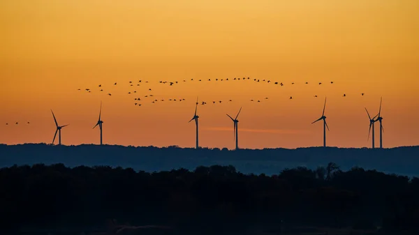 Вітроенергетика Міграція Птахів Заході Сонця Стокова Картинка