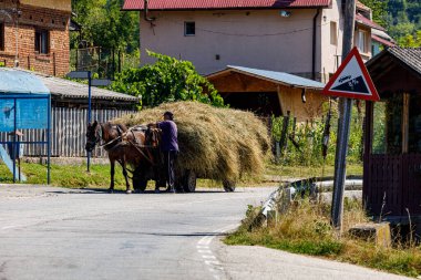 11 Ağustos 2021 'de Oberkerz, Romanya' da at arabasıyla saman hasadında çiftçi.