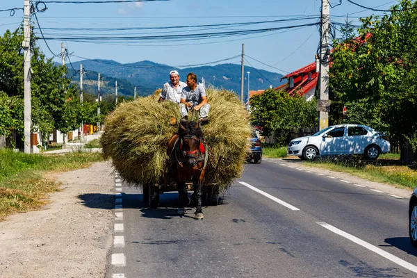Ağustos 2021 Oberkerz Romanya Arabasıyla Saman Hasadında Çiftçi — Stok fotoğraf