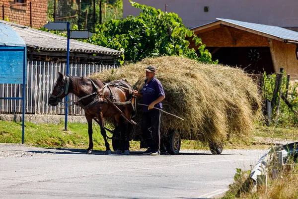 Ağustos 2021 Oberkerz Romanya Arabasıyla Saman Hasadında Çiftçi — Stok fotoğraf