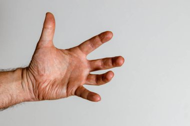  Beş parmaklı bir el.