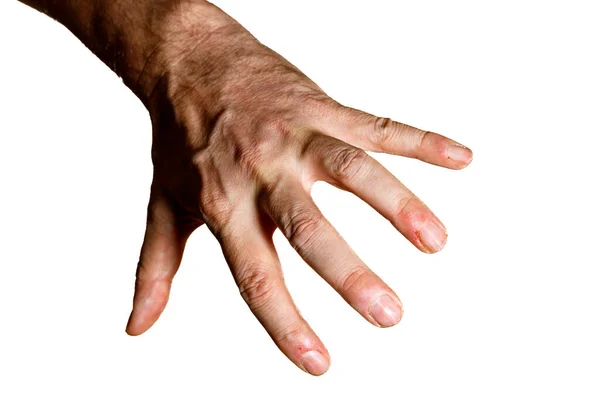 Hand Finger — Stock Photo, Image