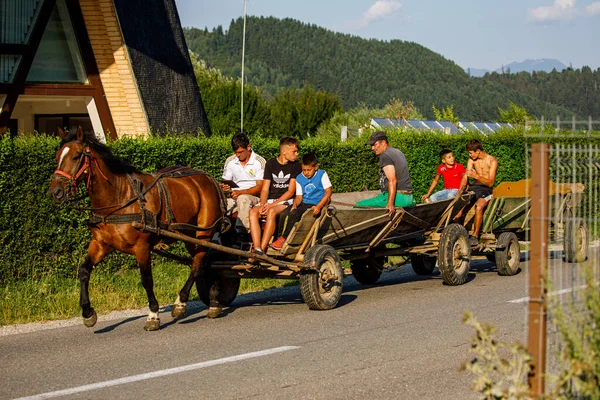 Carruagem Cavalo Aldeia Rupia Romênia Agosto 2021 — Fotografia de Stock