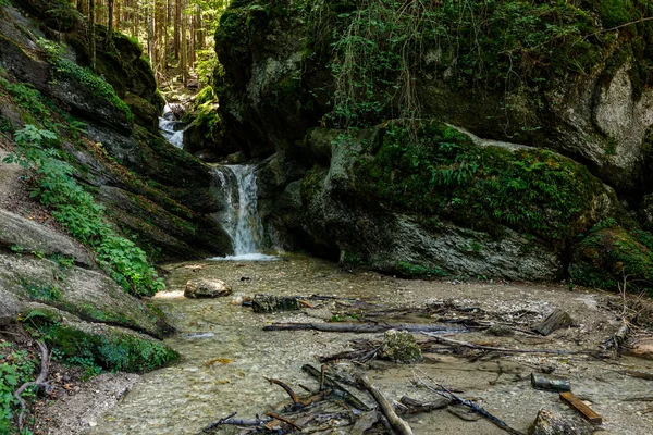 Die Leitern Schlucht Rumänien — Stockfoto