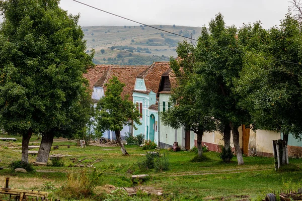 Village Farm Houses Viscri Romania — Stock Photo, Image