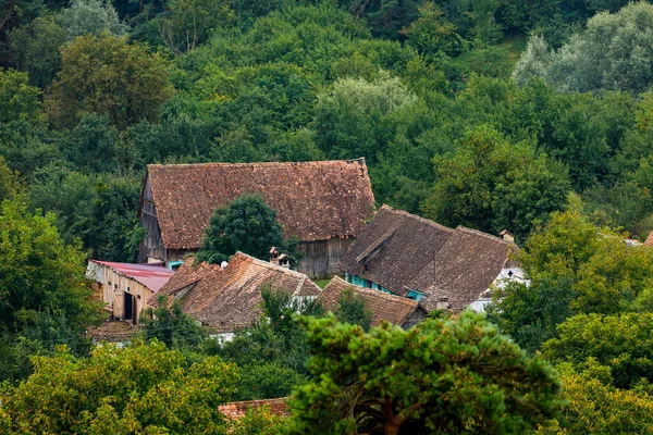 Village Farm Houses Viscri Romania — Stockfoto