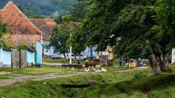 Dorpsboerderijen Van Viscri Roemenië — Stockfoto