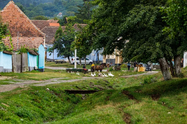 Gospodarstwa Wiejskie Viscri Rumunii Sierpnia 2021 — Zdjęcie stockowe