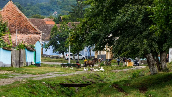 Las Casas Rurales Del Pueblo Viscri Rumania Imagen de stock