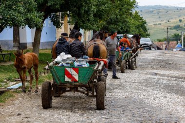 Romanya 'nın Viscri köyünde at ve at arabası, 18 Ağustos 2021