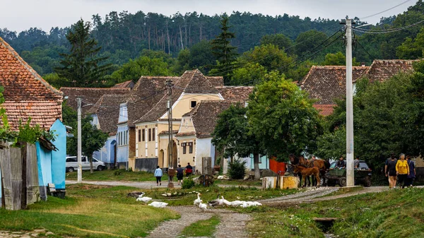 Casas Fazenda Aldeia Viscri Romênia Agosto 2021 — Fotografia de Stock