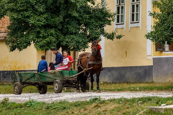 Horse Carriage Village Viscri Romania August 2021 — 图库照片