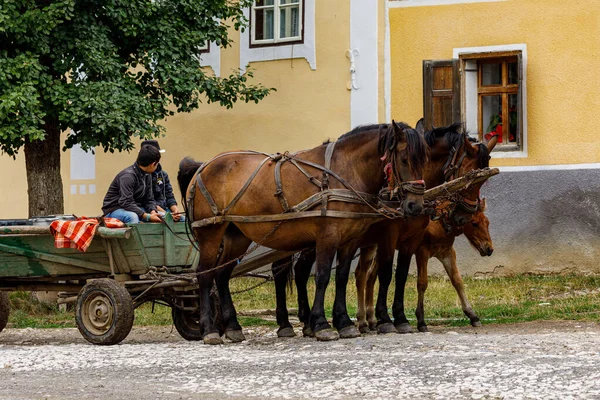 Horse Carriage Village Viscri Romania August 2021 — 图库照片