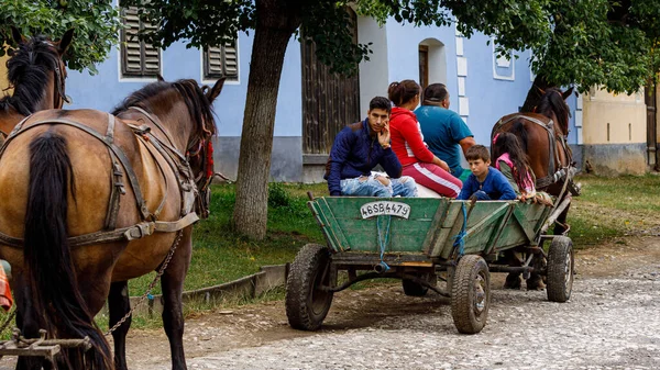 Horse Carriage Village Viscri Romania August 2021 — 图库照片