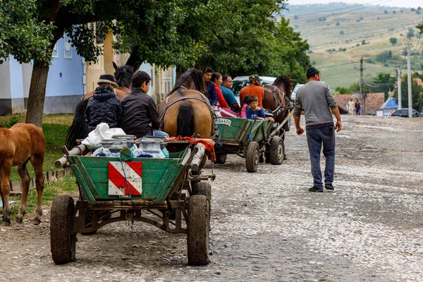 Horse Carriage Village Viscri Romania August 2021 — Stockfoto