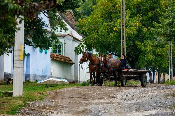 Häst Och Vagn Byn Viscri Rumänien Augusti 2021 — Stockfoto