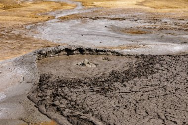 Romanya 'daki Berca' nın çamur volkanları