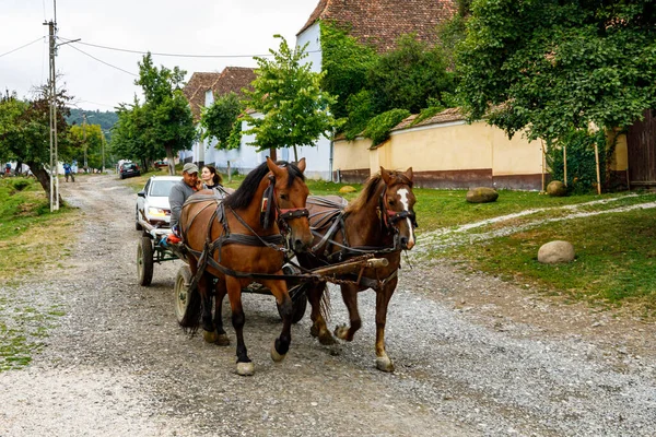 Horse Carriage Village Viscri Romania August 2021 — 图库照片