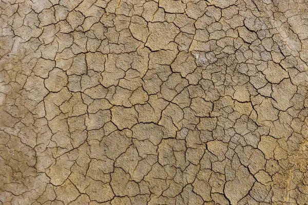 熱と地球温暖化と気候変動のために土壌の亀裂 — ストック写真