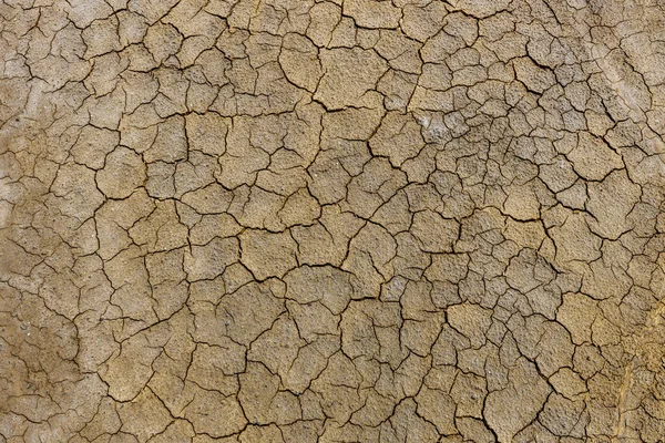 Rachaduras Solo Por Causa Calor Aquecimento Global Mudanças Climáticas — Fotografia de Stock