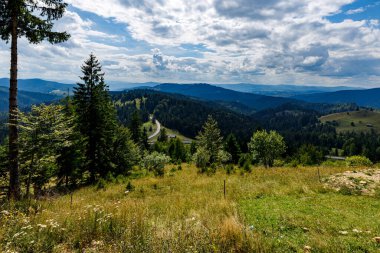 Bucovina 'nın Romanya' daki manzarası