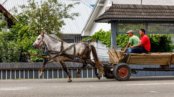 Horse Carriage Gura Humorului Romania August 2021 — Stock Photo, Image