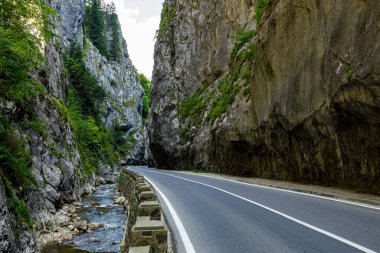 Romanya 'daki Bicaz Kanyonu