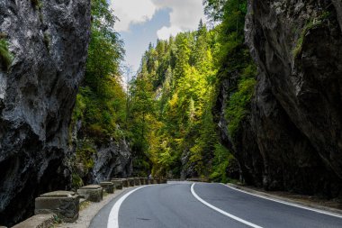 Romanya 'daki Bicaz Kanyonu