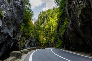 Romanya 'daki Bicaz Kanyonu