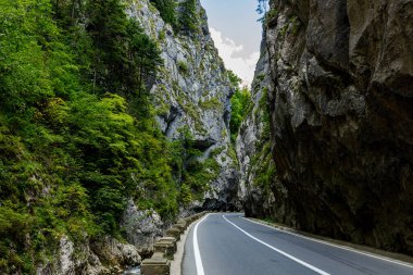 Romanya 'daki Bicaz Kanyonu