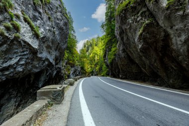 Romanya 'daki Bicaz Kanyonu