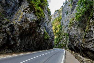 Romanya 'daki Bicaz Kanyonu
