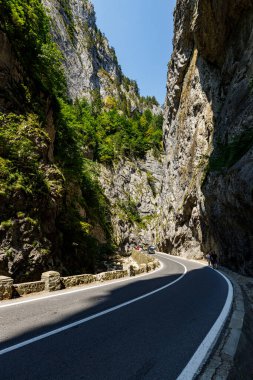 Romanya 'daki Bicaz Kanyonu