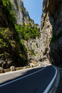 Romanya 'daki Bicaz Kanyonu