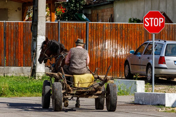 Άλογο Και Γεωργός Στο Μπιερτάν Της Ρουμανίας Αυγούστου 2021 — Φωτογραφία Αρχείου