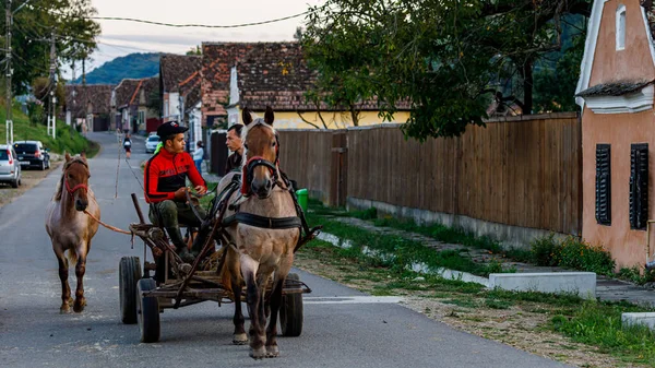 Carruagem Cavalos Agricultor Biertan Romênia Agosto 2021 — Fotografia de Stock