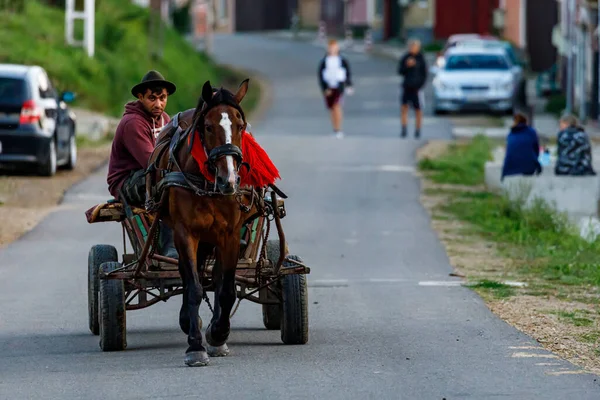Biertan Romanya Arabası Çiftçi Ağustos 2021 — Stok fotoğraf
