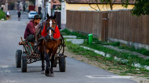 Biertan Romanya Arabası Çiftçi Ağustos 2021 — Stok fotoğraf