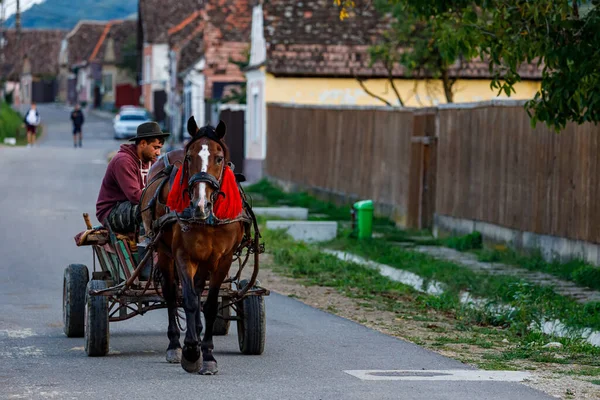 Biertan Romanya Arabası Çiftçi Ağustos 2021 — Stok fotoğraf