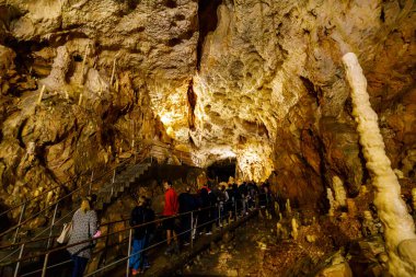 Romanya, Chiscau 'daki ayı mağarasındaki turistler 28 Ağustos 2021' de